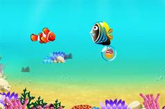 Немо Ищет Еду - Nemo Finding Foods